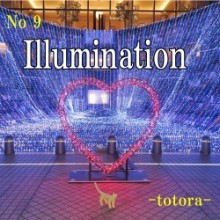 ⑨ Illumination / イルミネイション download(動画)