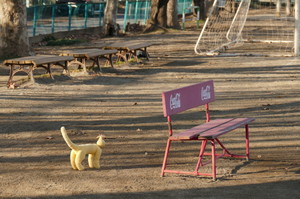ベンチ　グランド　冬日　ととら　totora　猫　黄色いネコ　歩くテンポ
