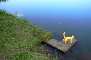 ととら　黄色い猫　癒し　湖　幸せ　熊木富男