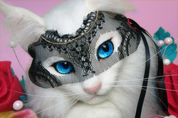 仮面舞踏会　ベルサイユの薔薇猫のサムネイル画像