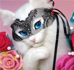 マリー　Marie Antoinette　羊毛フェルト　needlefelting art wool sanaekumaki 熊木早苗　chat　cat gato