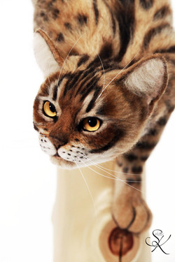 Aim　ベンガル猫　熊木早苗　羊毛フェルト　猫　art  cat  Bengal　chat  gato  