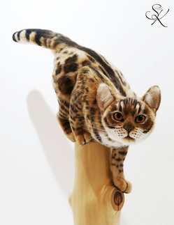 Aim　ベンガル猫　熊木早苗　羊毛フェルト　猫　art  cat  Bengal　chat  gato