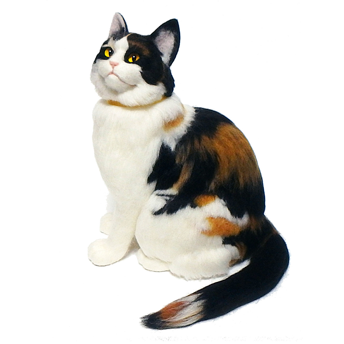 リアル猫人形 | Totora ＆ Real Cat doll