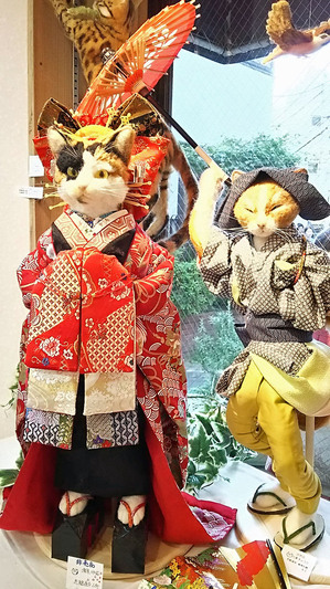 錆猫ギャラリー　東京羊毛猫本社　花魁　傘持ち