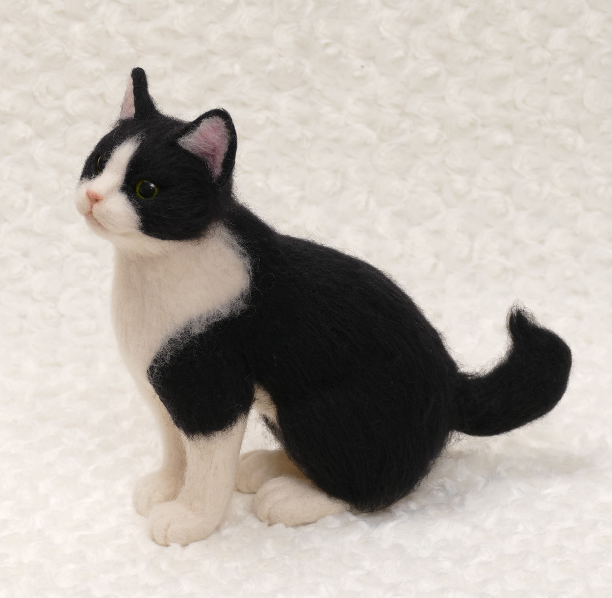 羊毛猫人形日記 6ページ目 Totora ＆ Real Cat doll