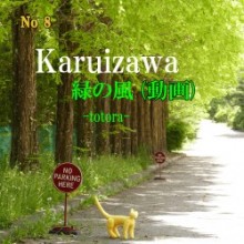 ⑧ Karuizawa  download(動画)