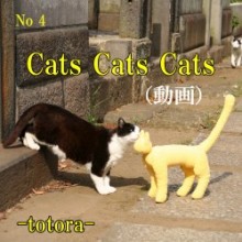 ④ Cats Cats Cats download(猫動画)