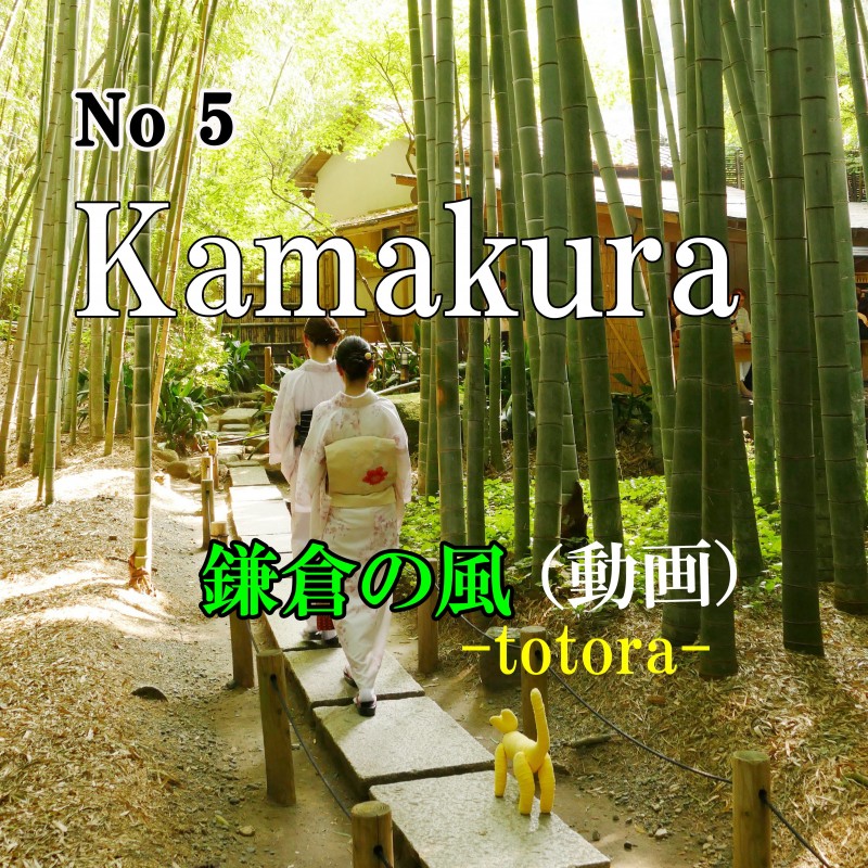 ⑤ Kamakura / 鎌倉の風 download(動画)
