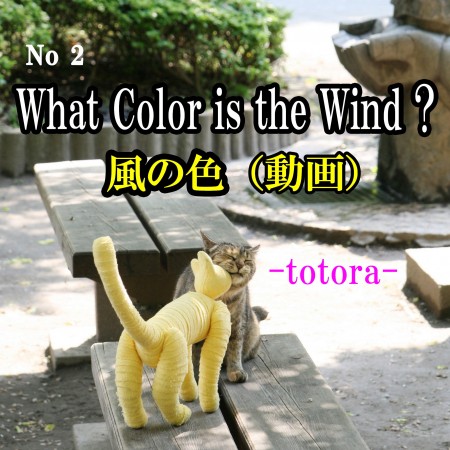 ② What color is the wind ? / 風の色 download(動画)
