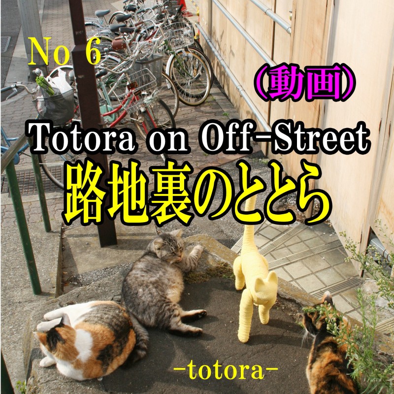 ⑥ Totora on off-street / 路地裏のととら download(動画)